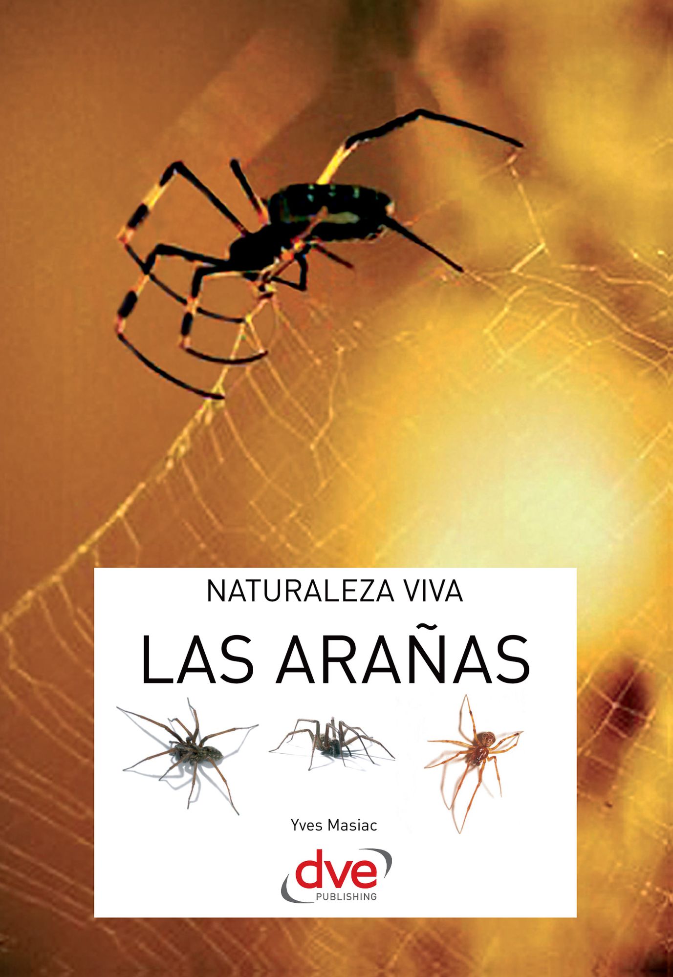 Las arañas