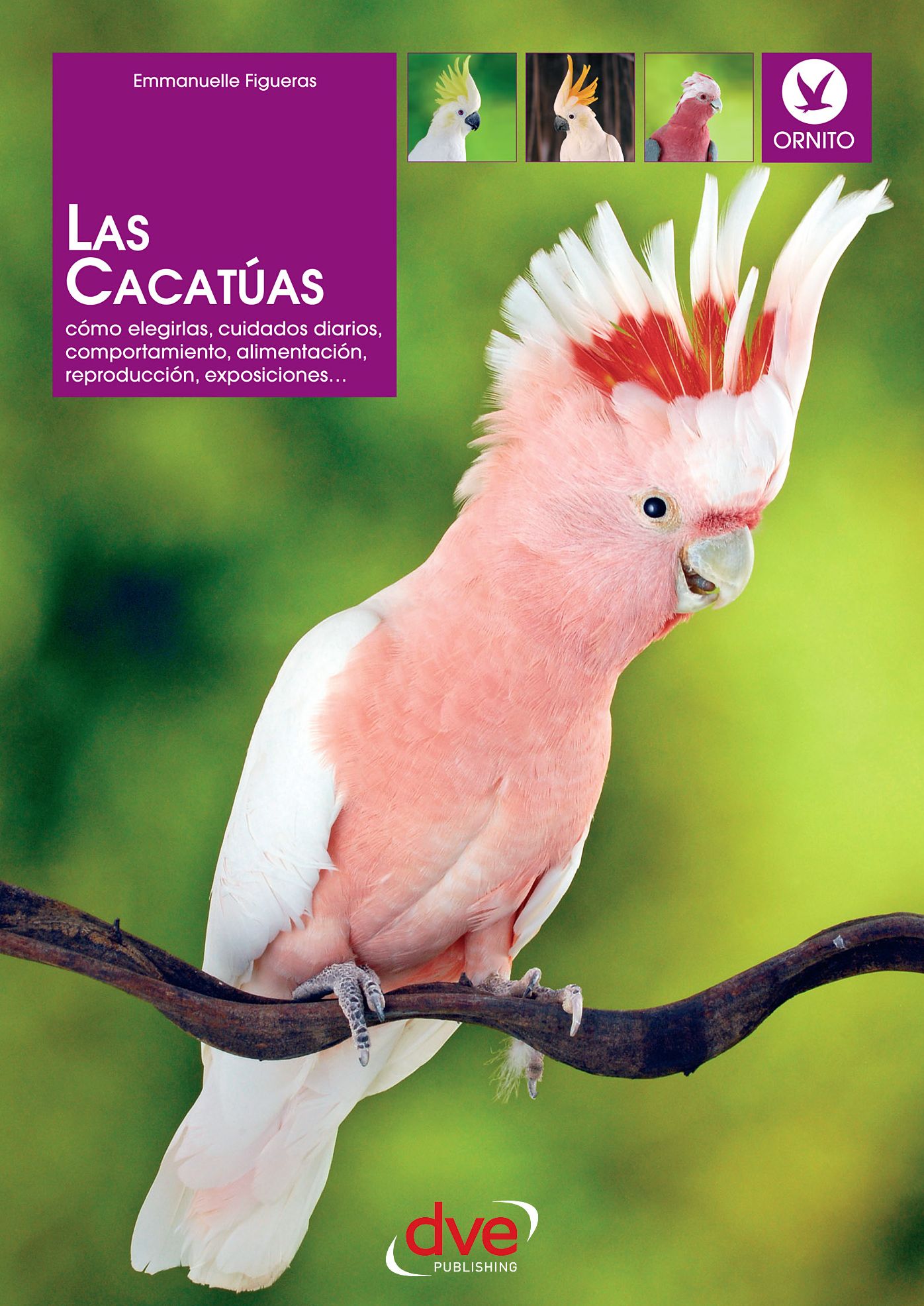 Las cacatuas: Como elegirlas, cuidados diarios, comportamiento, alimentacion, reproduccion, exposiciones