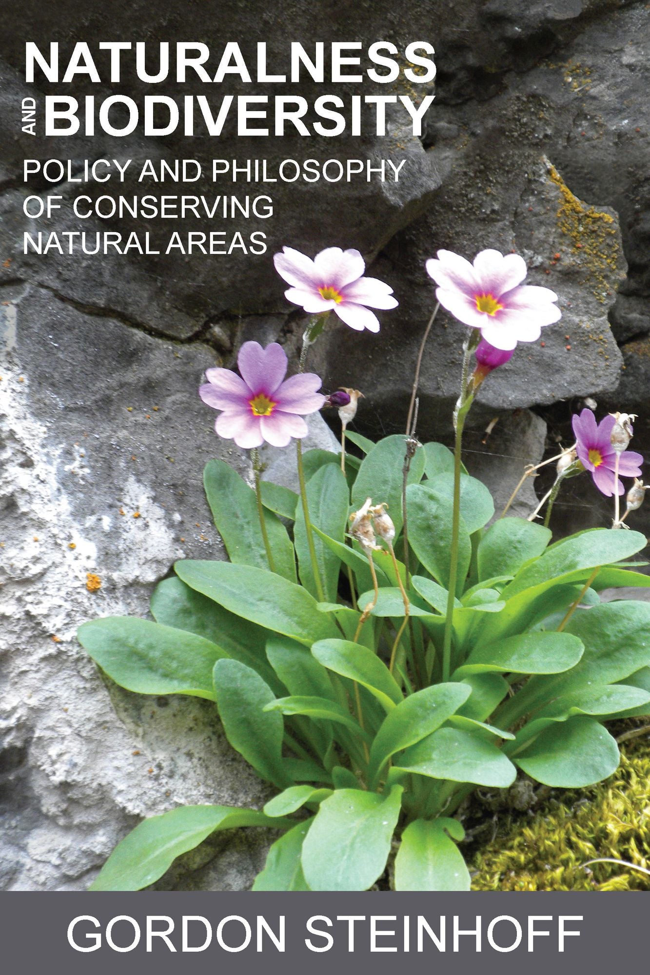 Naturalness and Biodiversity: Policy and Philosophy of Conserving Natural Areas