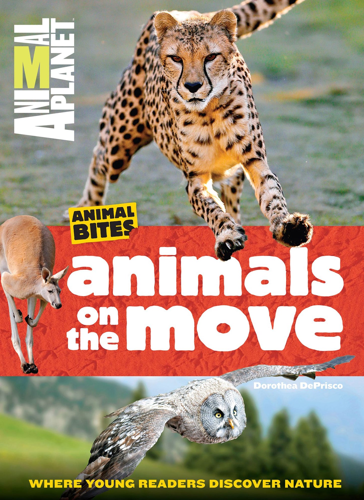 Animal Planet Animals on the Move (Animal Bites Series): Animal Planet Animals on the Move (Animal Bites Series)
