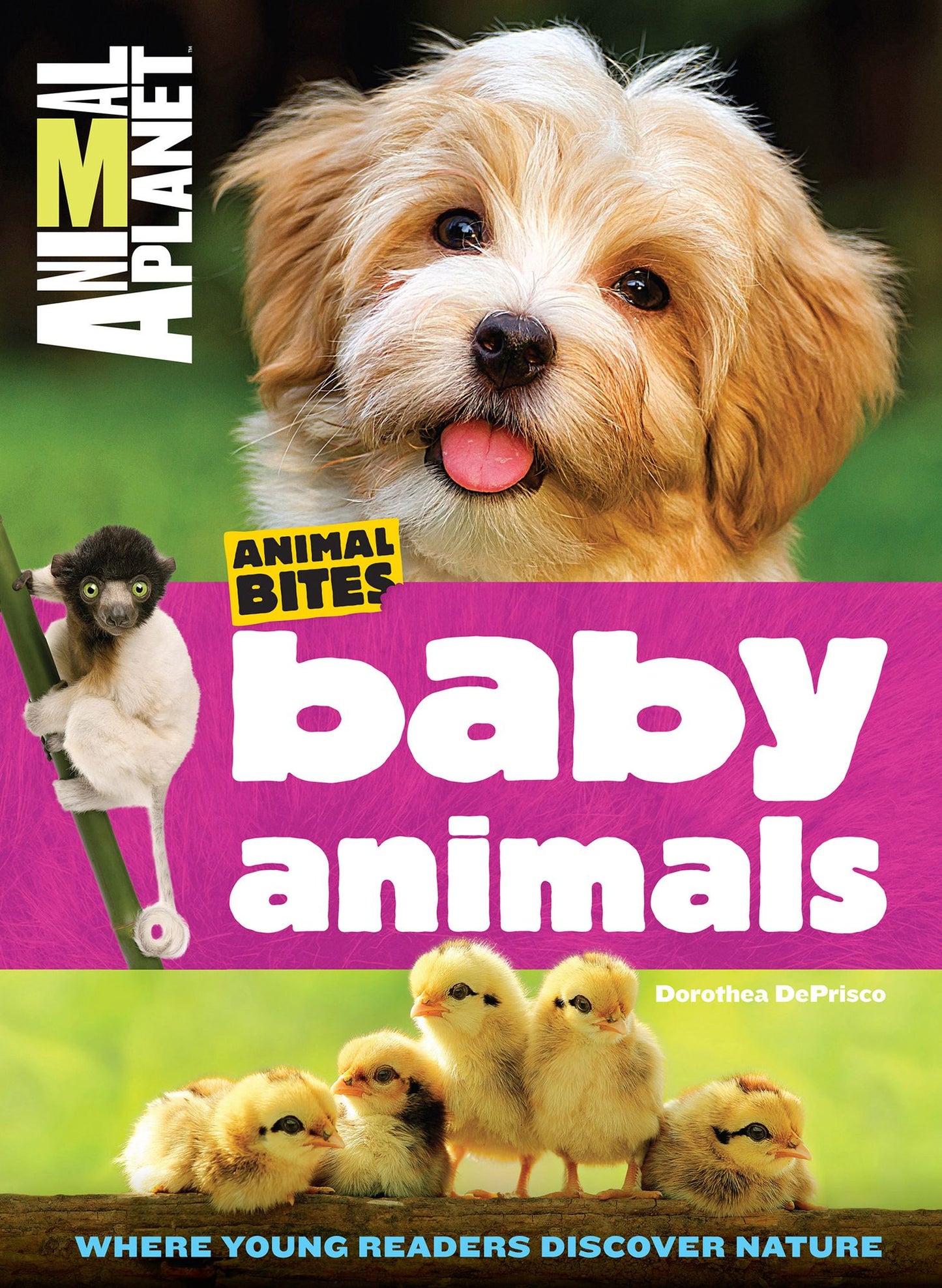 Animal Planet Baby Animals (Animal Bites Series): Animal Planet Baby Animals (Animal Bites Series)