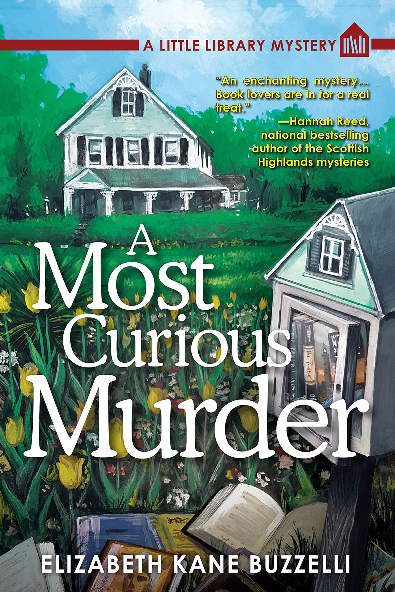 A Most Curious Murder (Little Library Mystery Series #1)