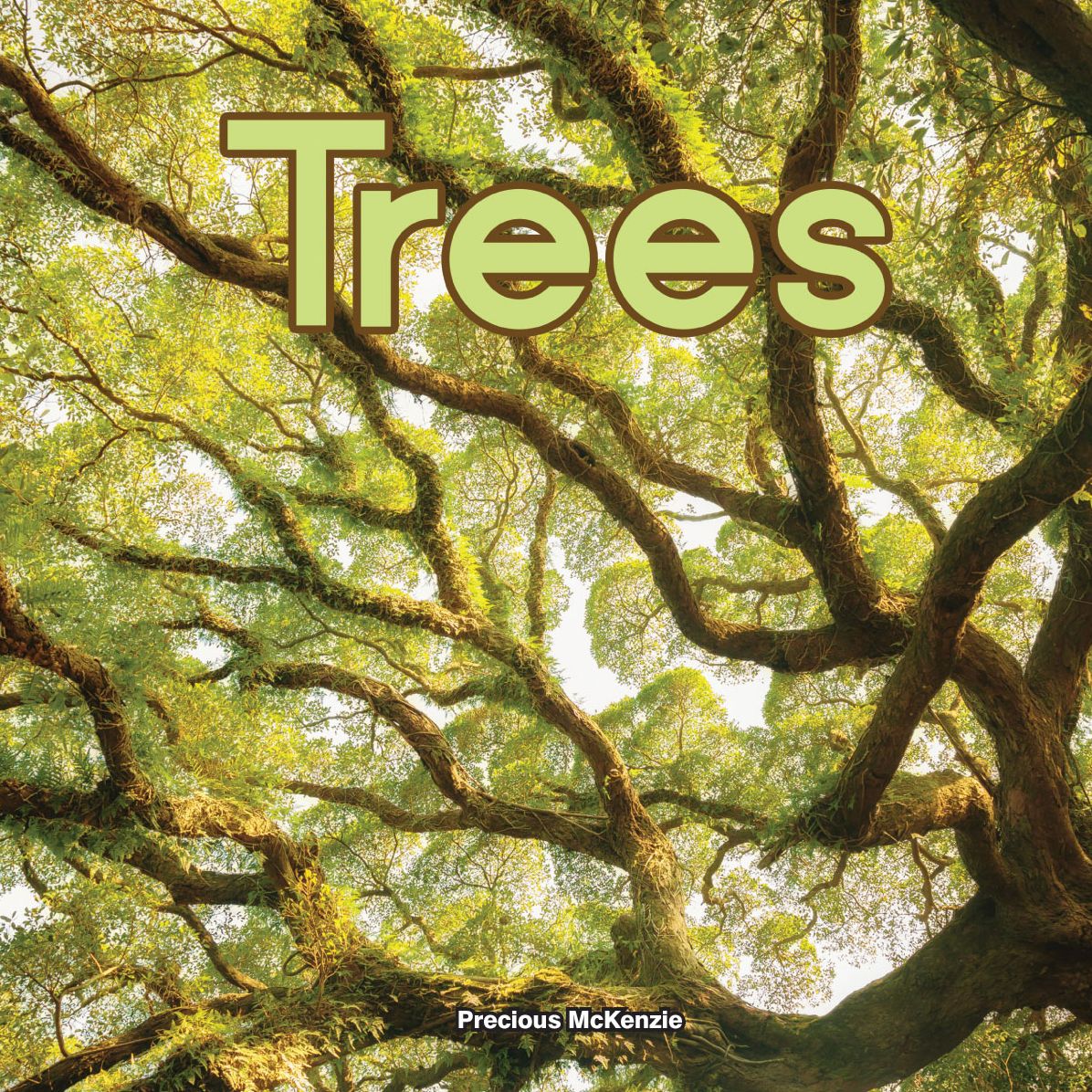 What Are Trees?