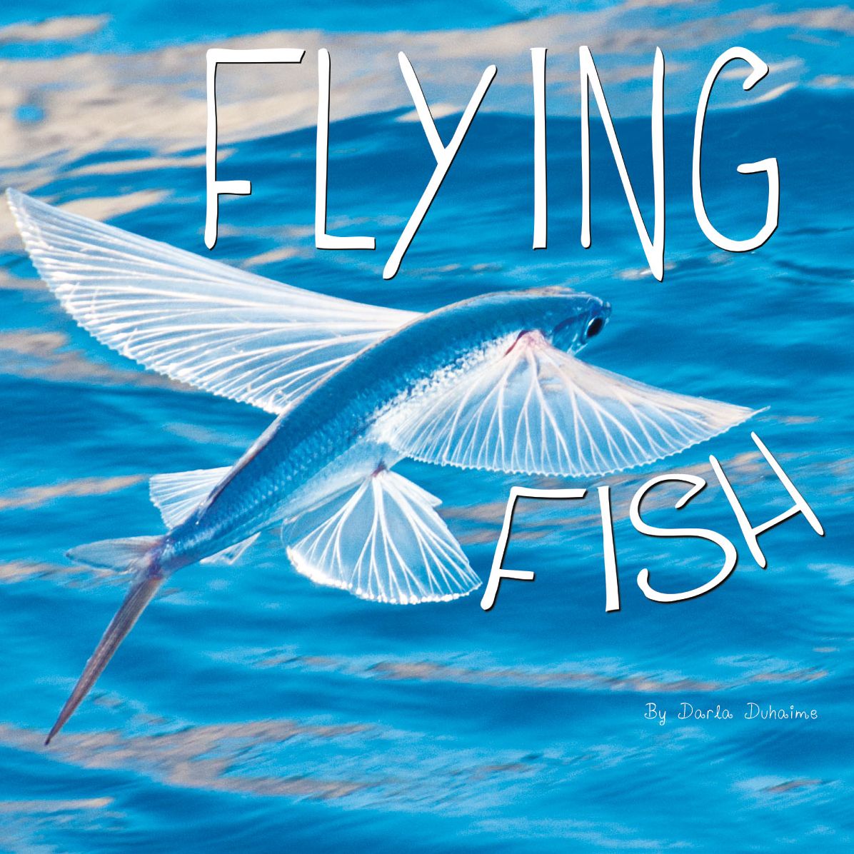 Flying Fish