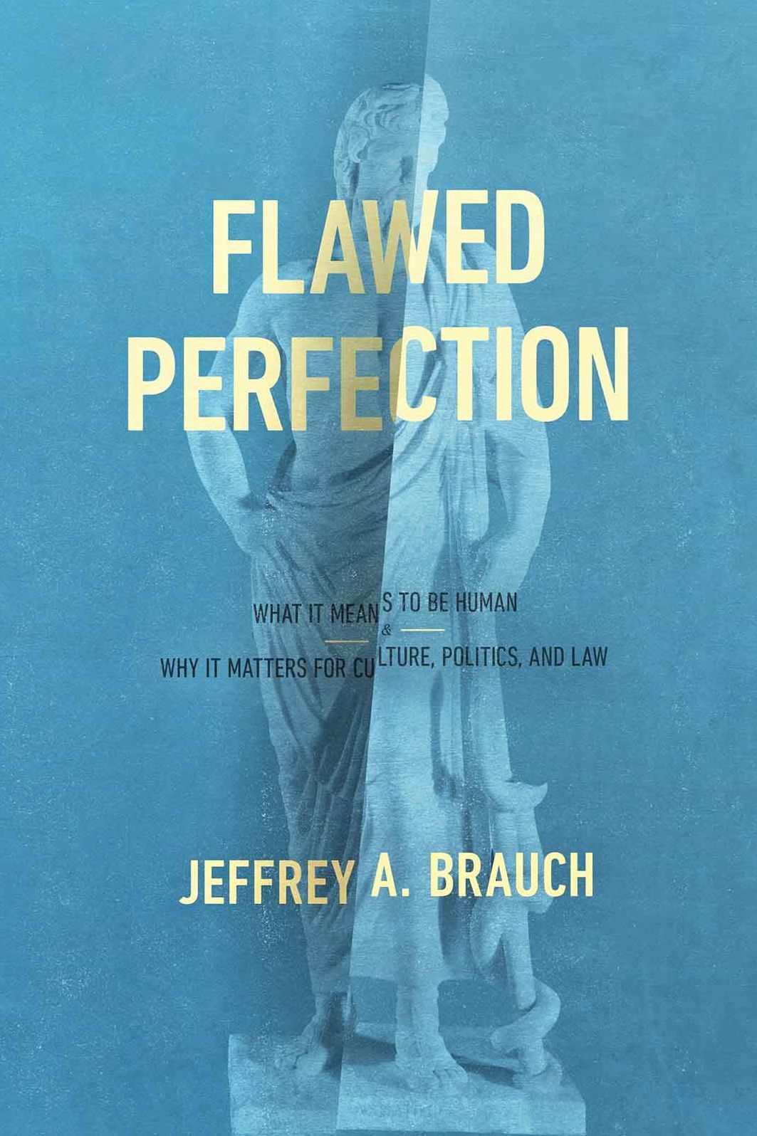 Flawed Perfection: What It Means to Be Human and Why It Matters for Culture, Politics, and Law