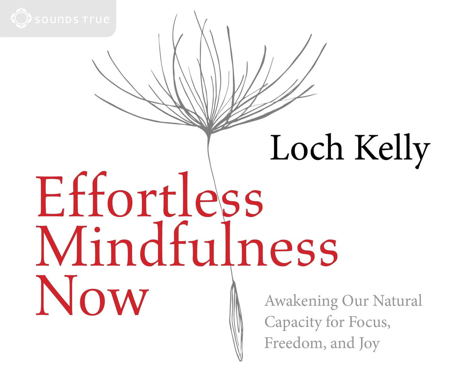 Effortless Mindfulness Now: Awakening Our Natural Capacity for Focus, Freedom, and Joy