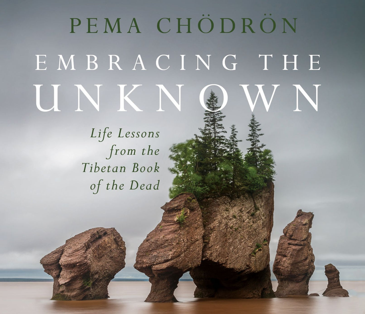 Embracing the Unknown: Life Lessons from the Tibetan Book of the Dead