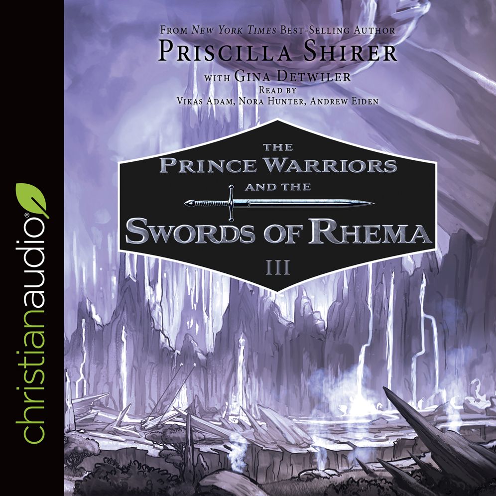 The Prince Warriors and the Swords of Rhema (Prince Warriors Series #3)