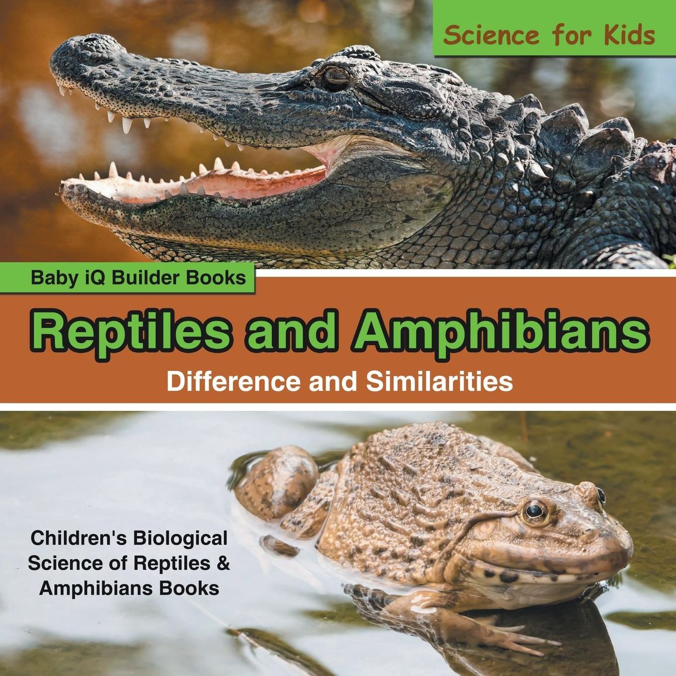 Reptiles and Amphibians - Difference and Similarities - Science for Kids - Children's Biological Science of Reptiles & Amphibians Books