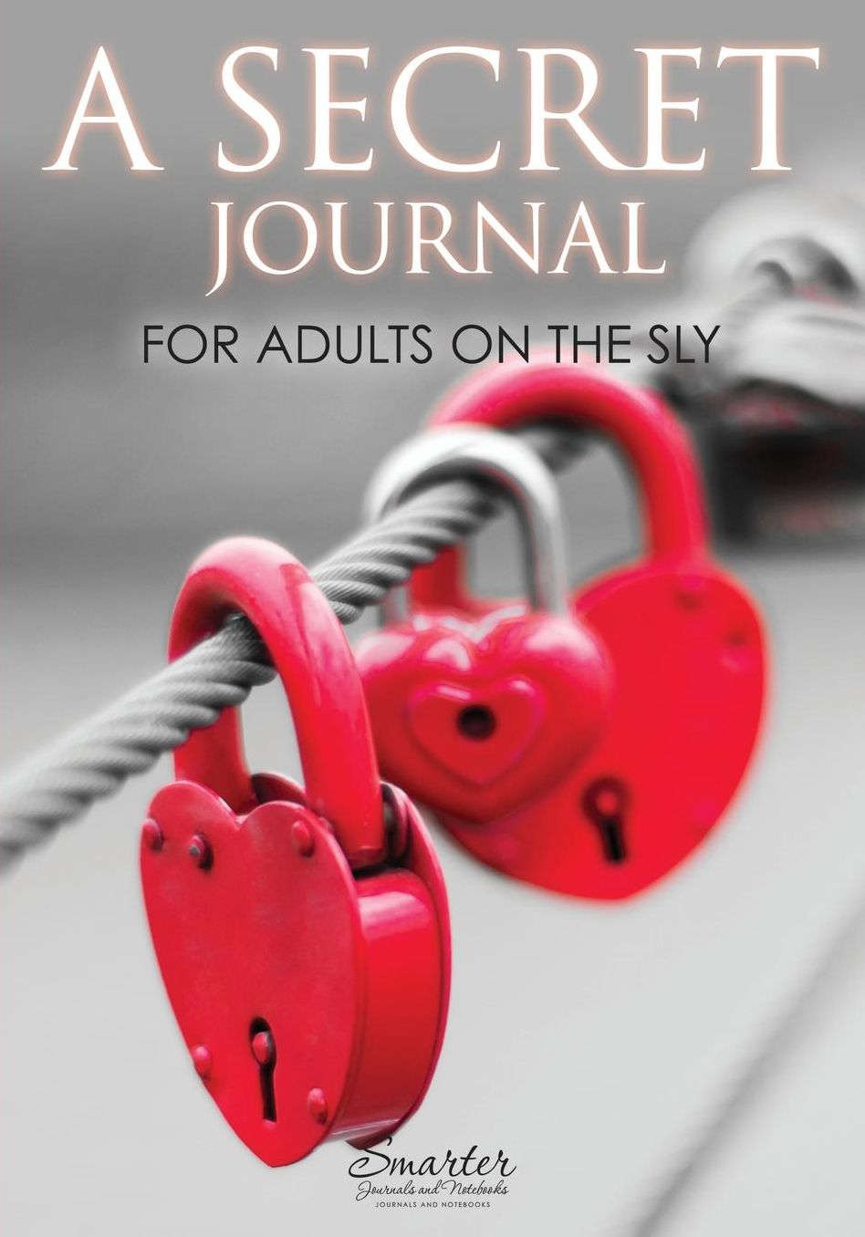 A Secret Journal for Adults on the Sly