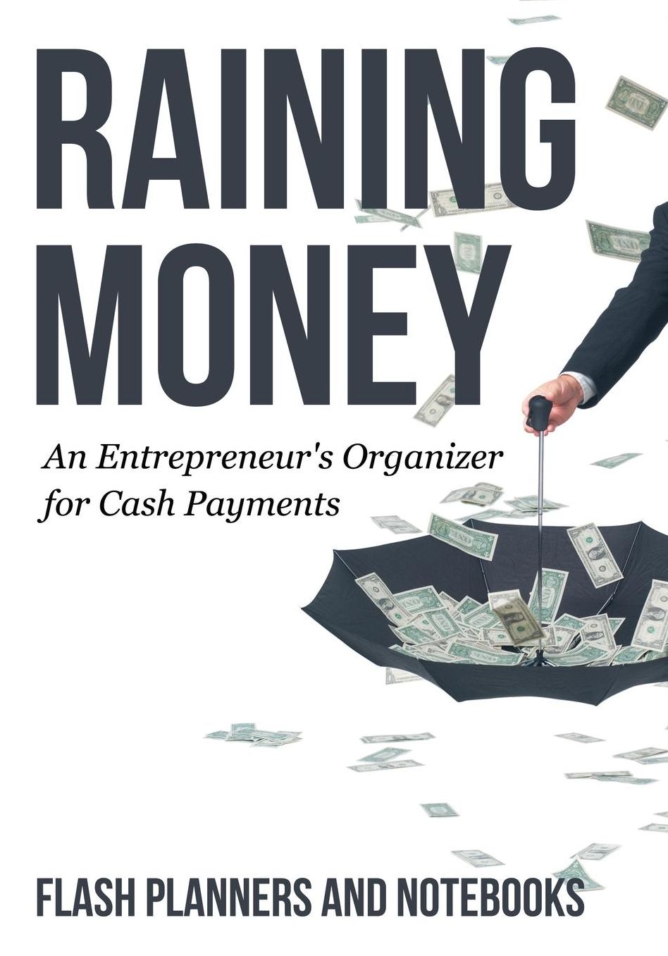 Raining Money: An Entrepreneur's Organizer for Cash Payments
