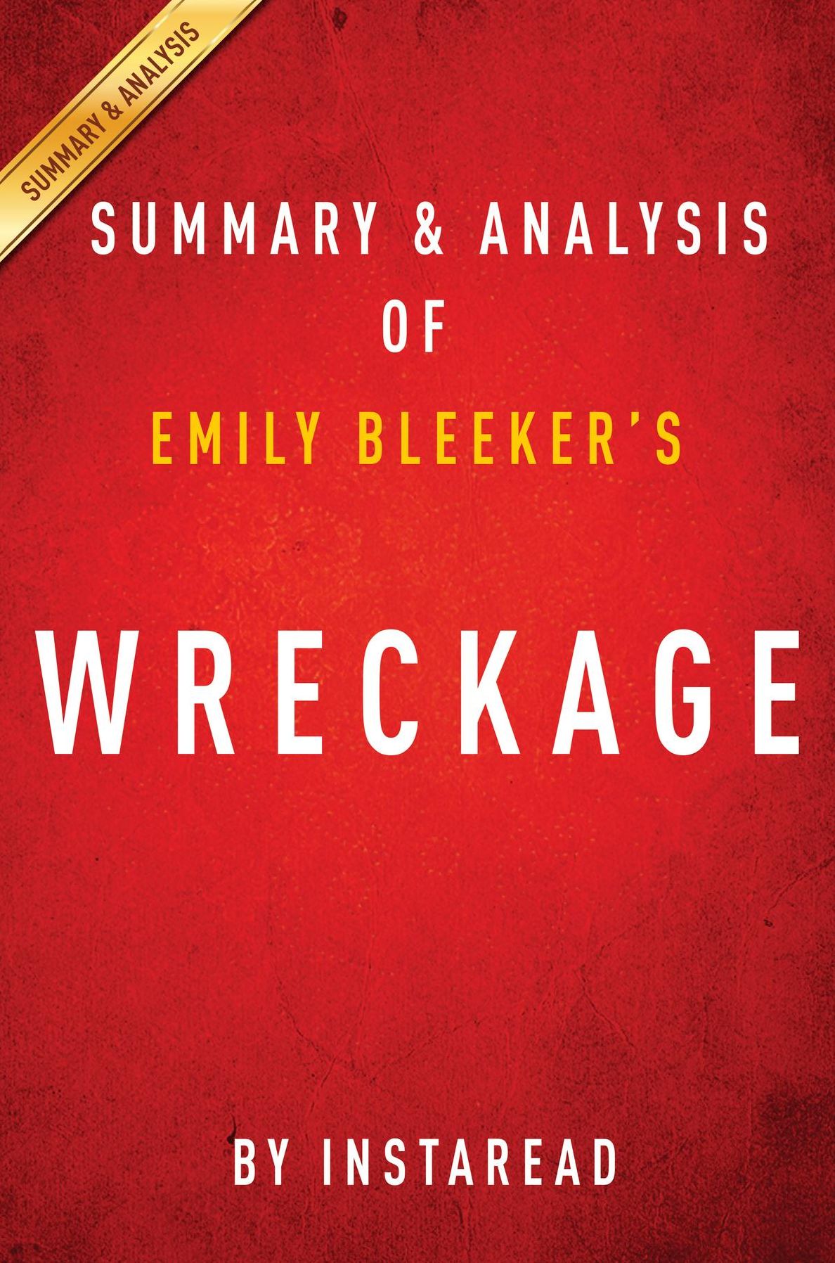 Summary of Wreckage: by Emily Bleeker Includes Analysis