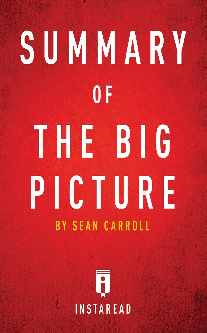 Summary of The Big Picture: by Sean Carroll Includes Analysis