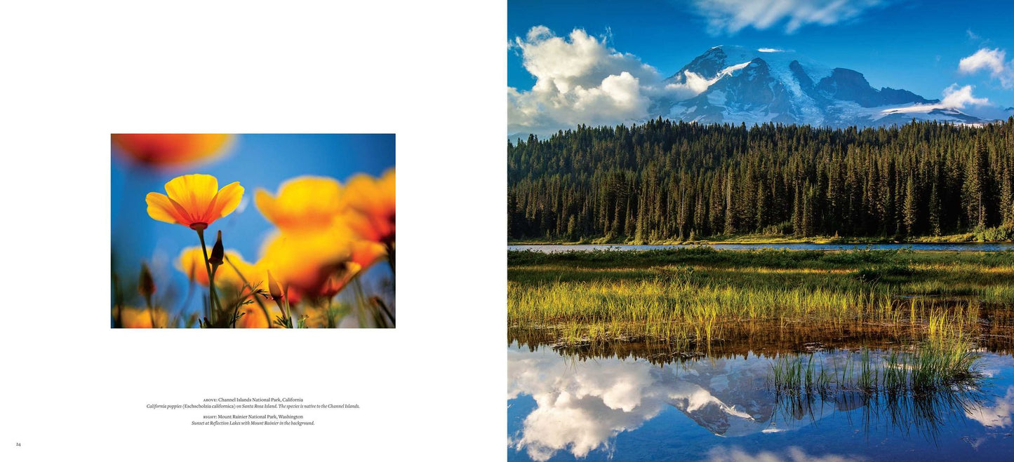 The National Parks: An American Legacy