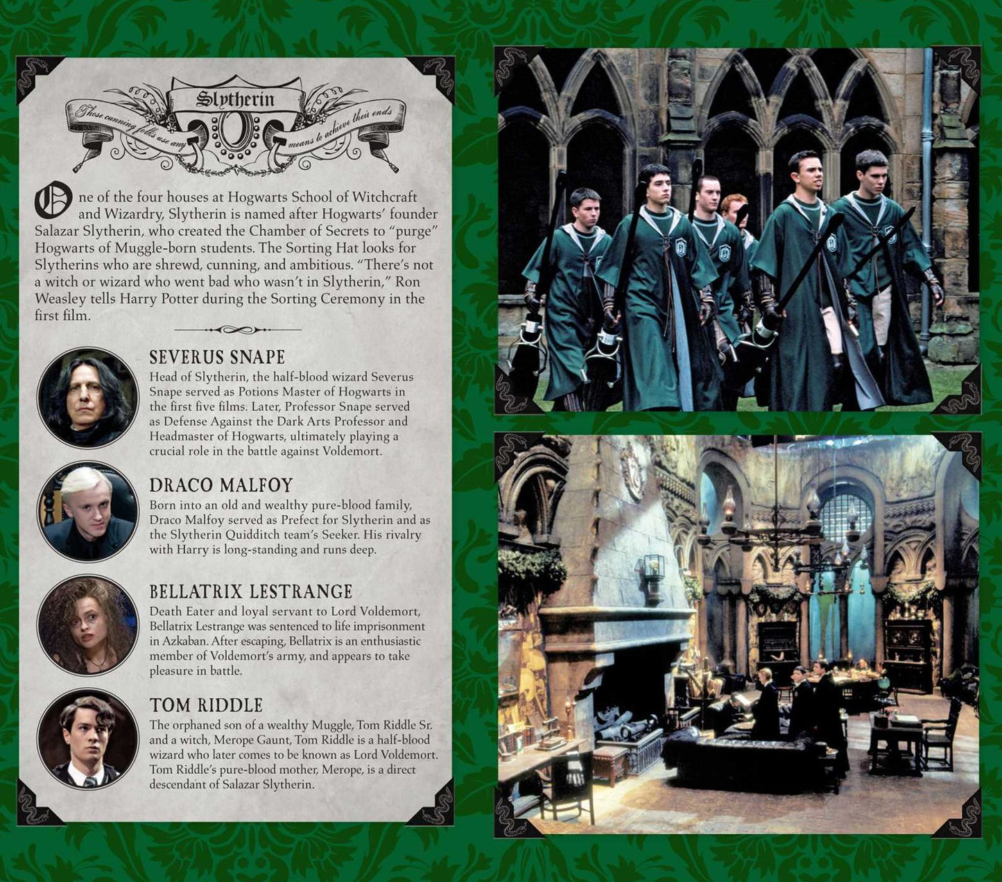 Harry Potter: Slytherin Ruled Pocket Journal