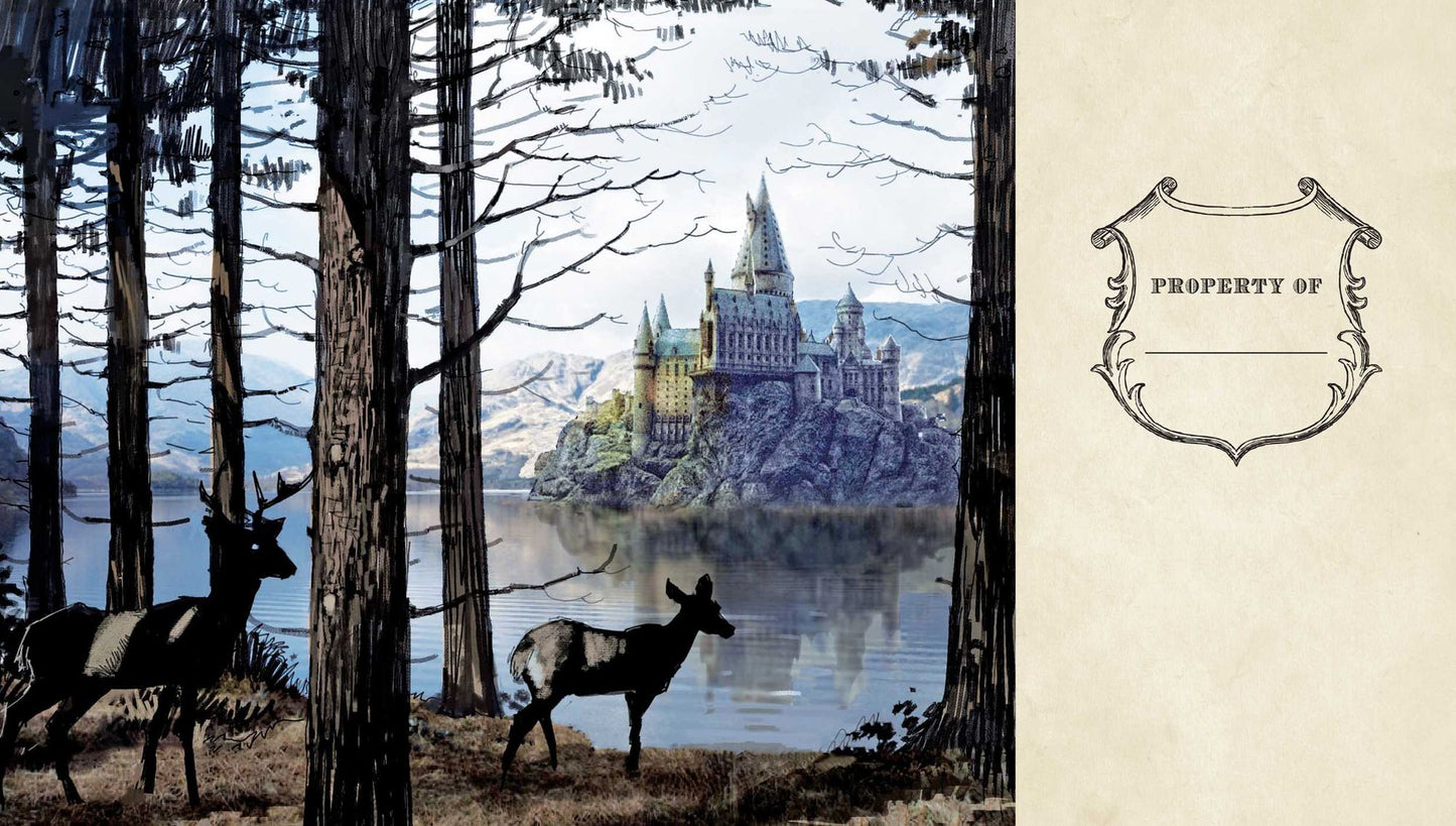 Harry Potter: Hogwarts Ruled Pocket Journal