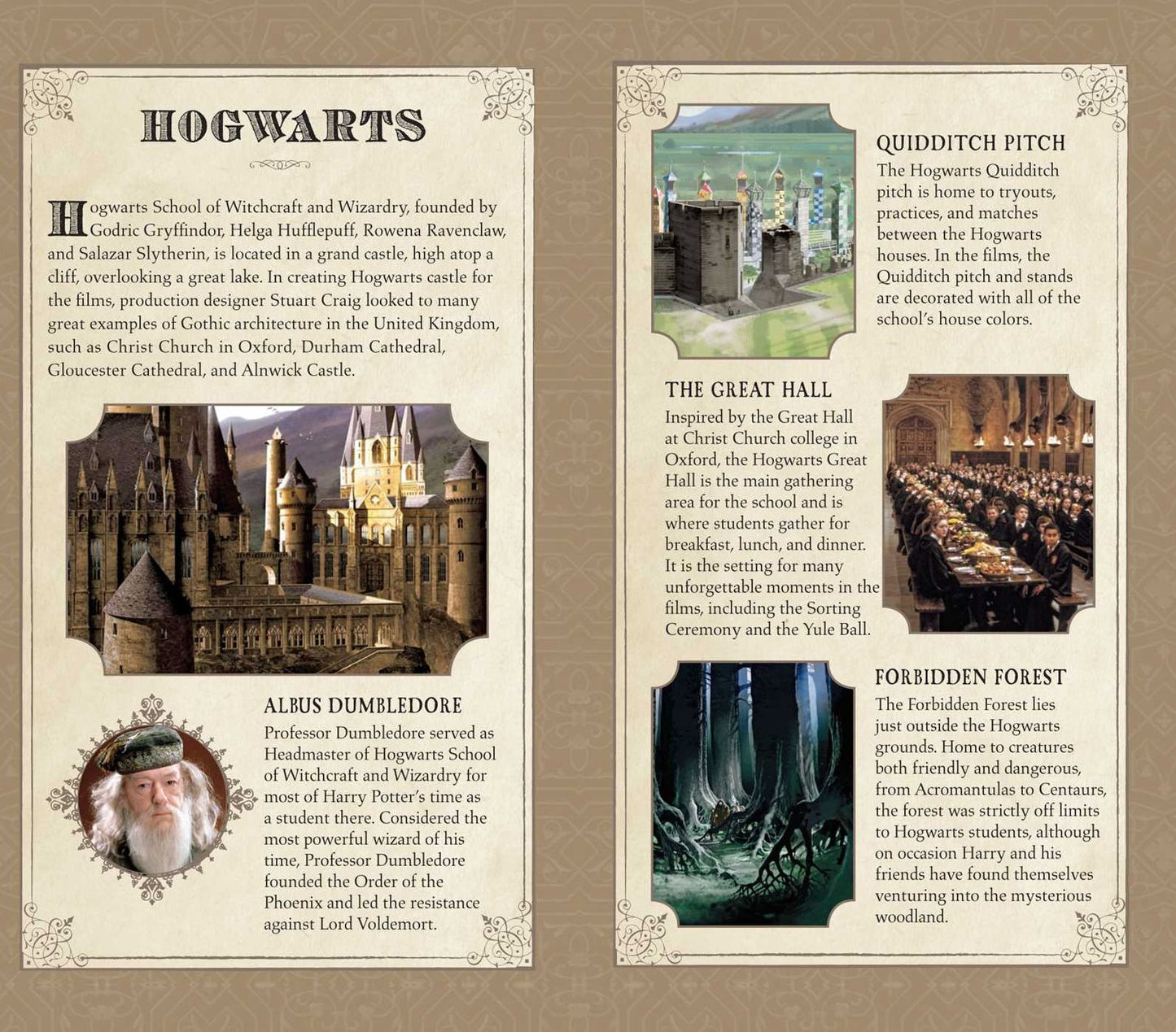 Harry Potter: Hogwarts Ruled Pocket Journal