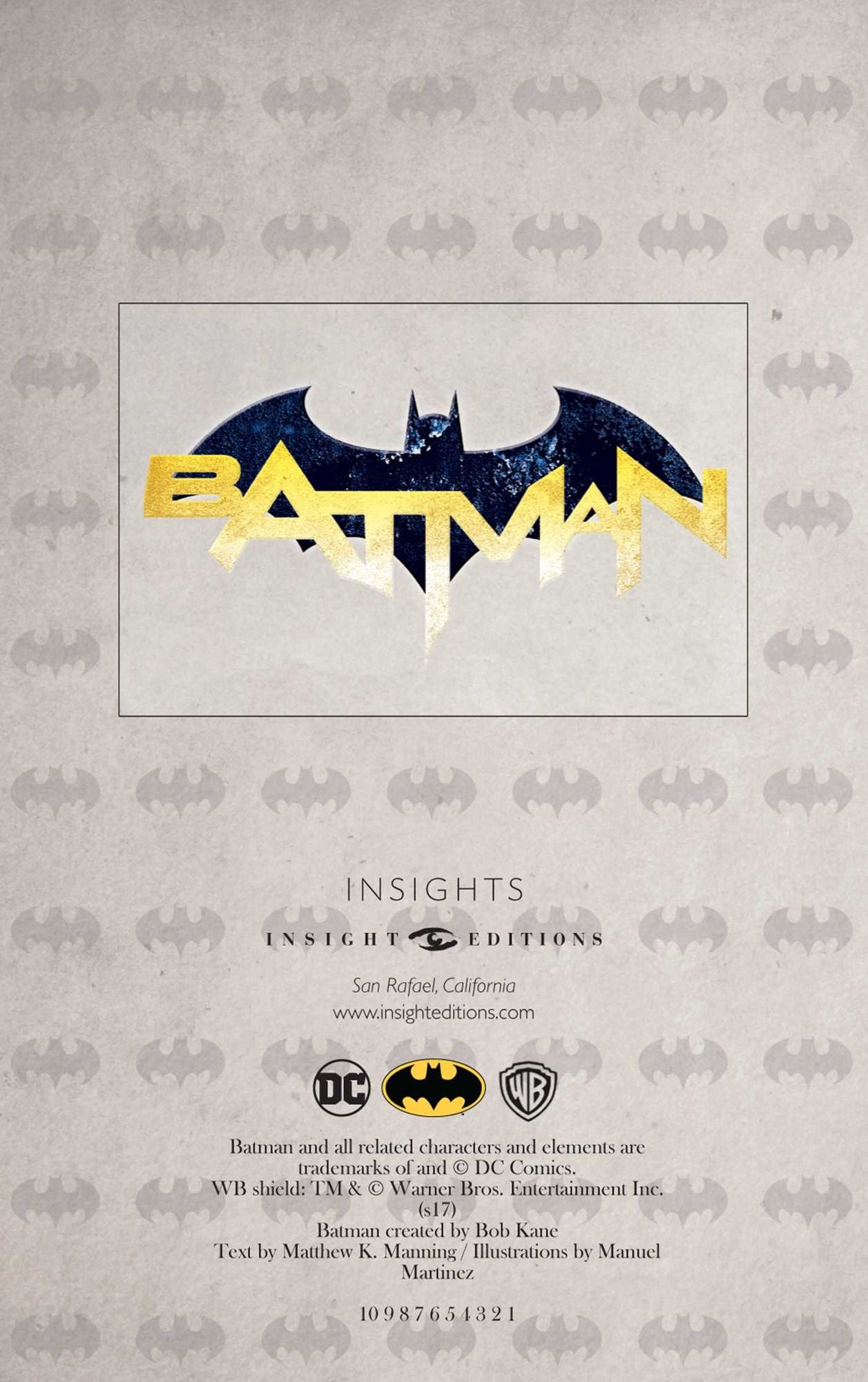 Batman Ruled Pocket Journal