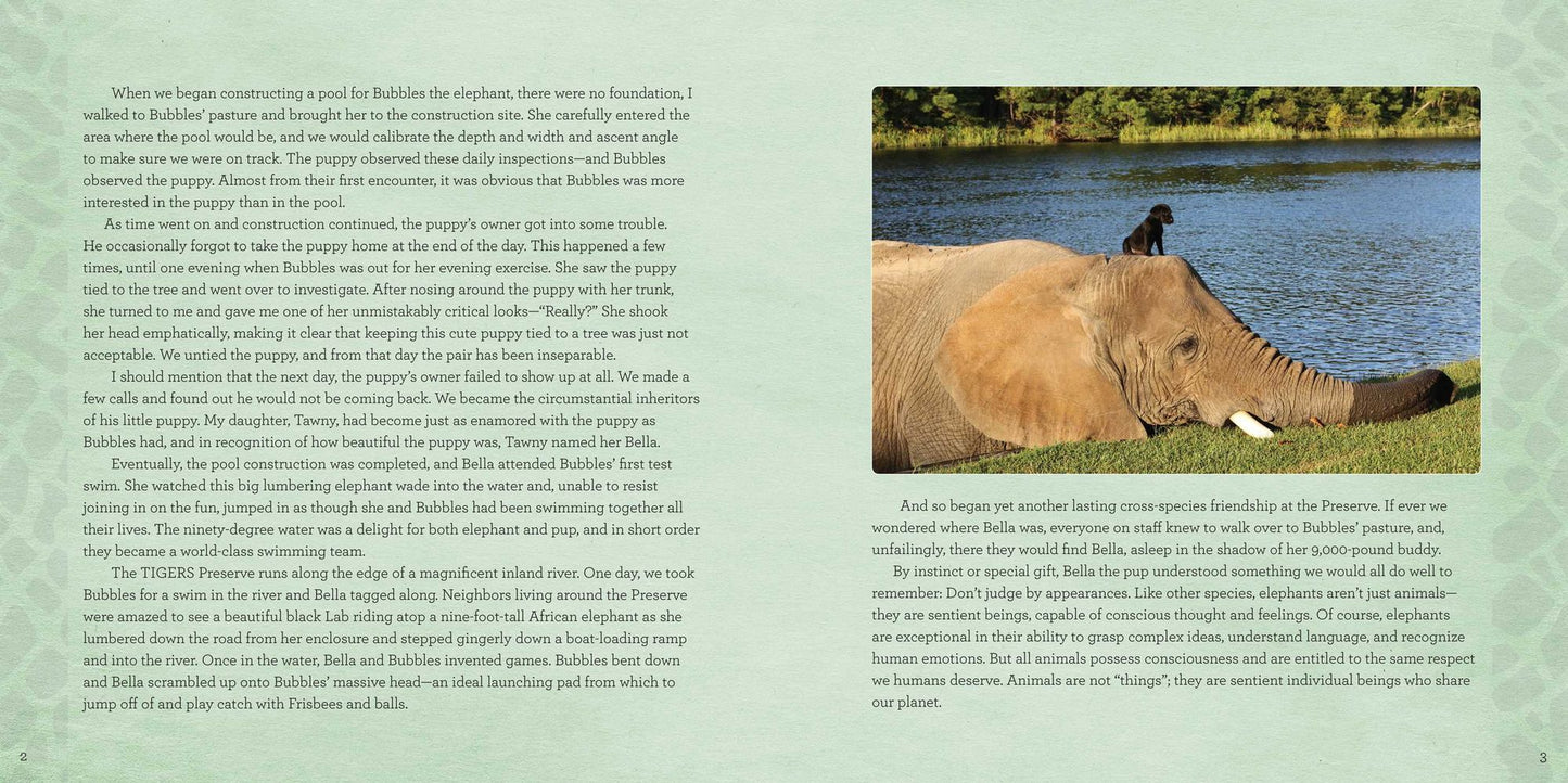 Wild Family: Seven Stories of Extraordinary Animal Friendship