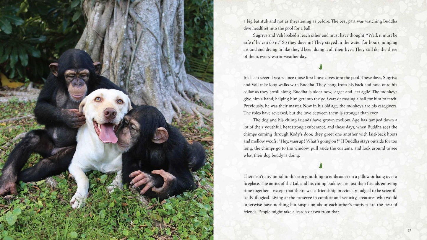 Wild Family: Seven Stories of Extraordinary Animal Friendship