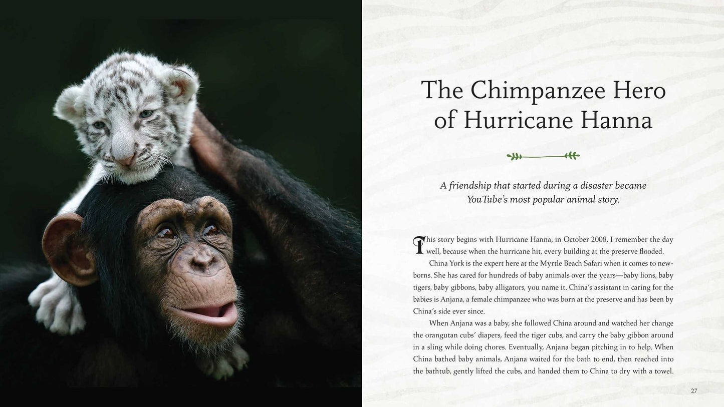 Wild Family: Seven Stories of Extraordinary Animal Friendship