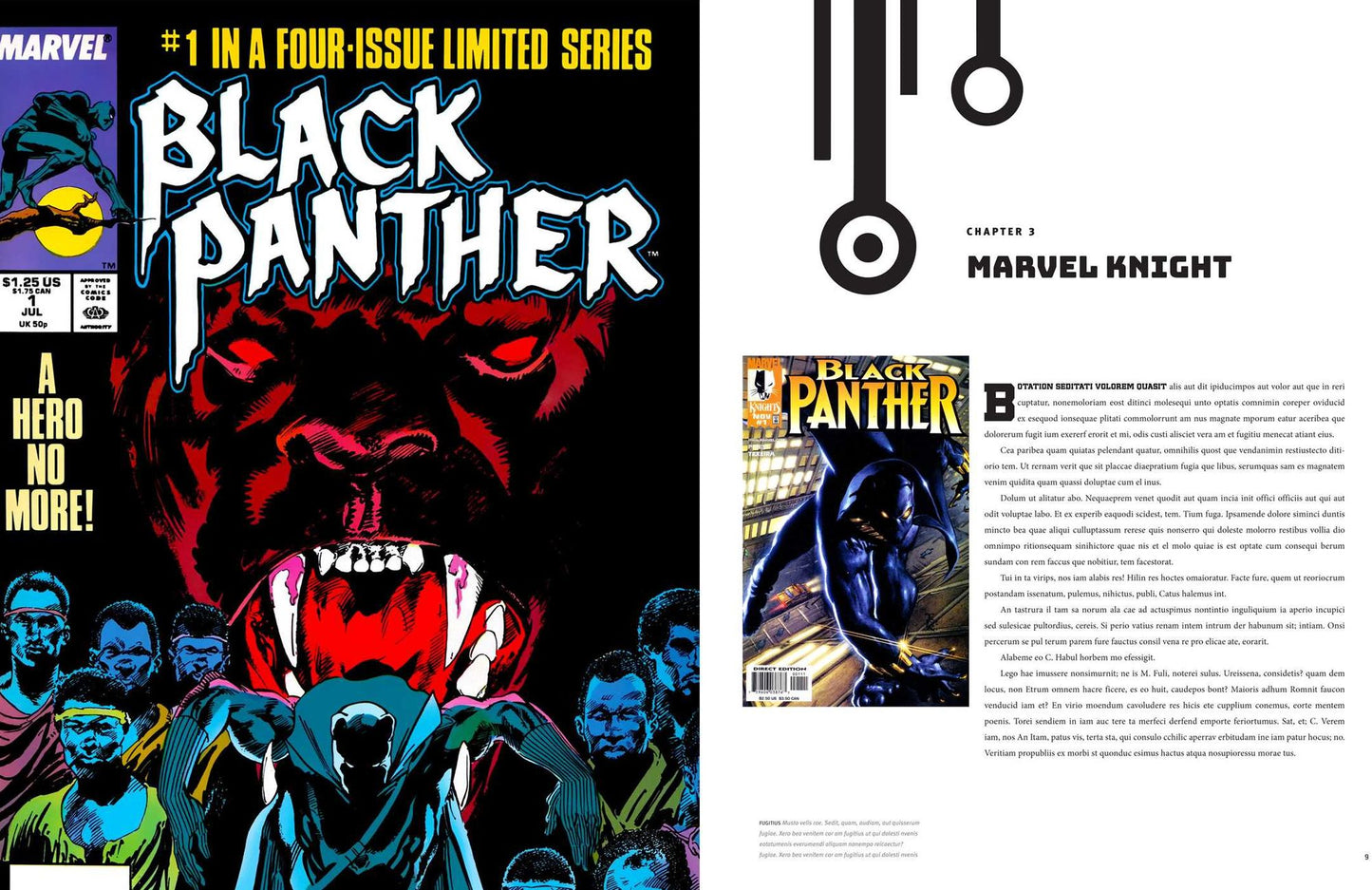 Marvel's Black Panther: The Illustrated History of a King: The Complete Comics Chronology