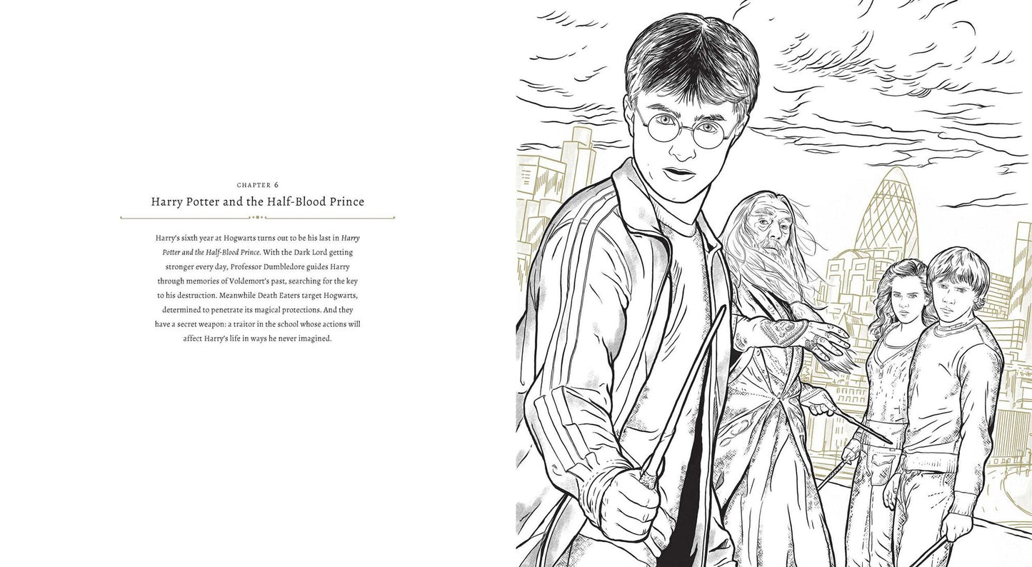 Harry Potter: A Cinematic Gallery: 80 Original Images to Color and Inspire