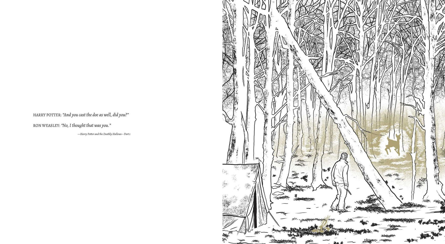 Harry Potter: A Cinematic Gallery: 80 Original Images to Color and Inspire