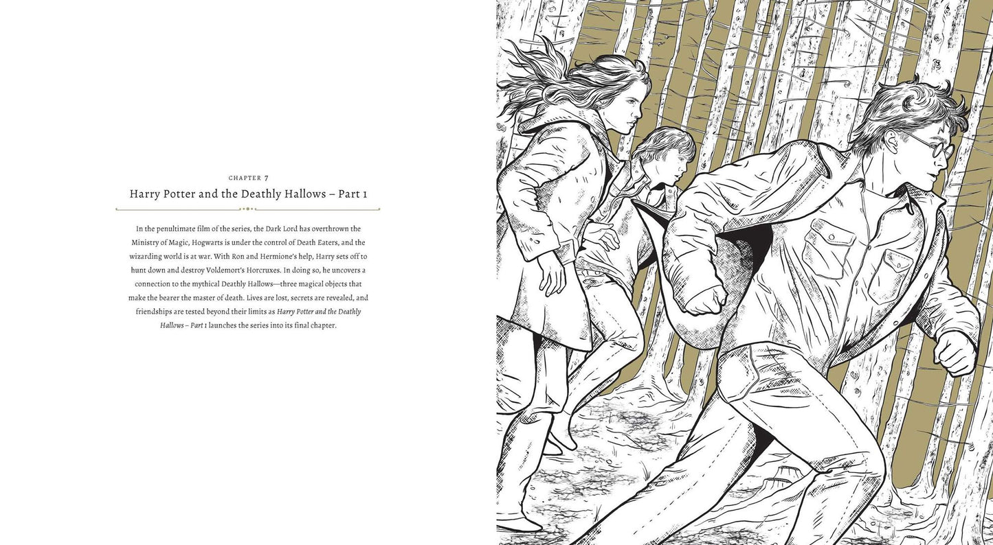 Harry Potter: A Cinematic Gallery: 80 Original Images to Color and Inspire