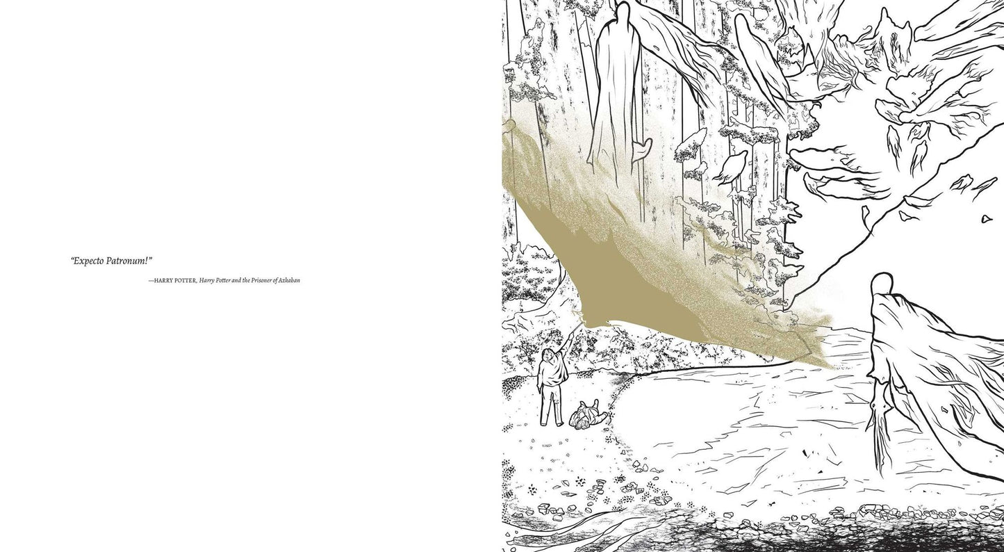 Harry Potter: A Cinematic Gallery: 80 Original Images to Color and Inspire