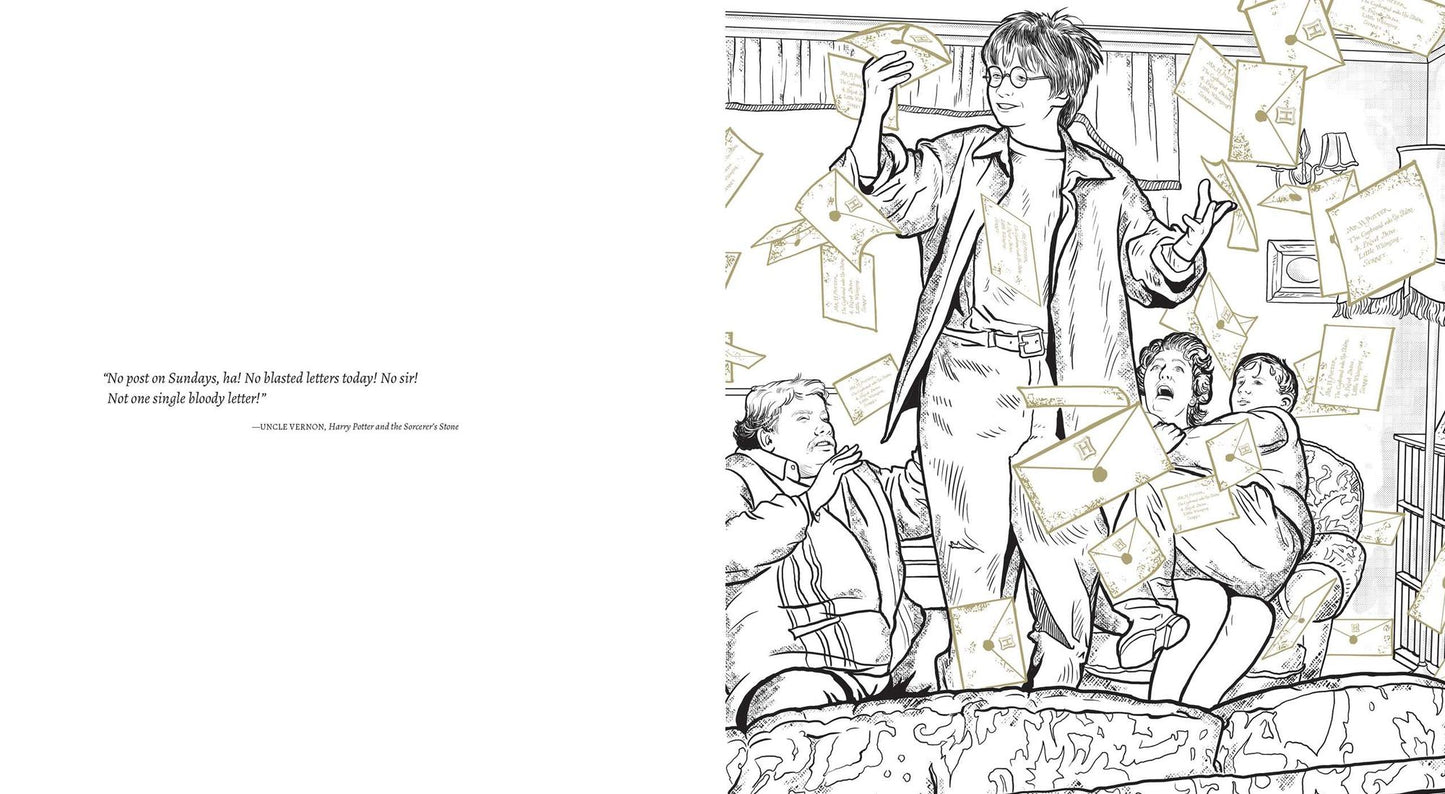 Harry Potter: A Cinematic Gallery: 80 Original Images to Color and Inspire