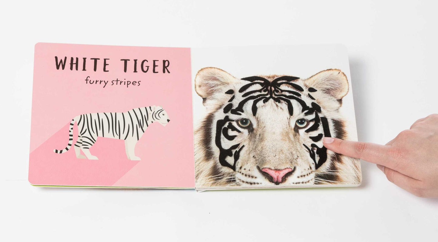 The Safari Circle: Big Cats: Touch and Feel