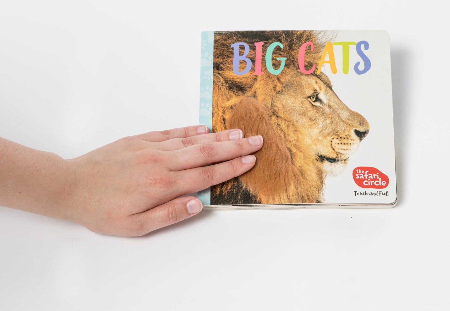 The Safari Circle: Big Cats: Touch and Feel