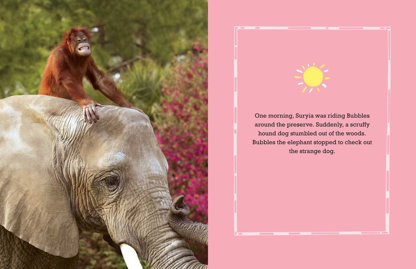 Suryia: An Orangutan's Story