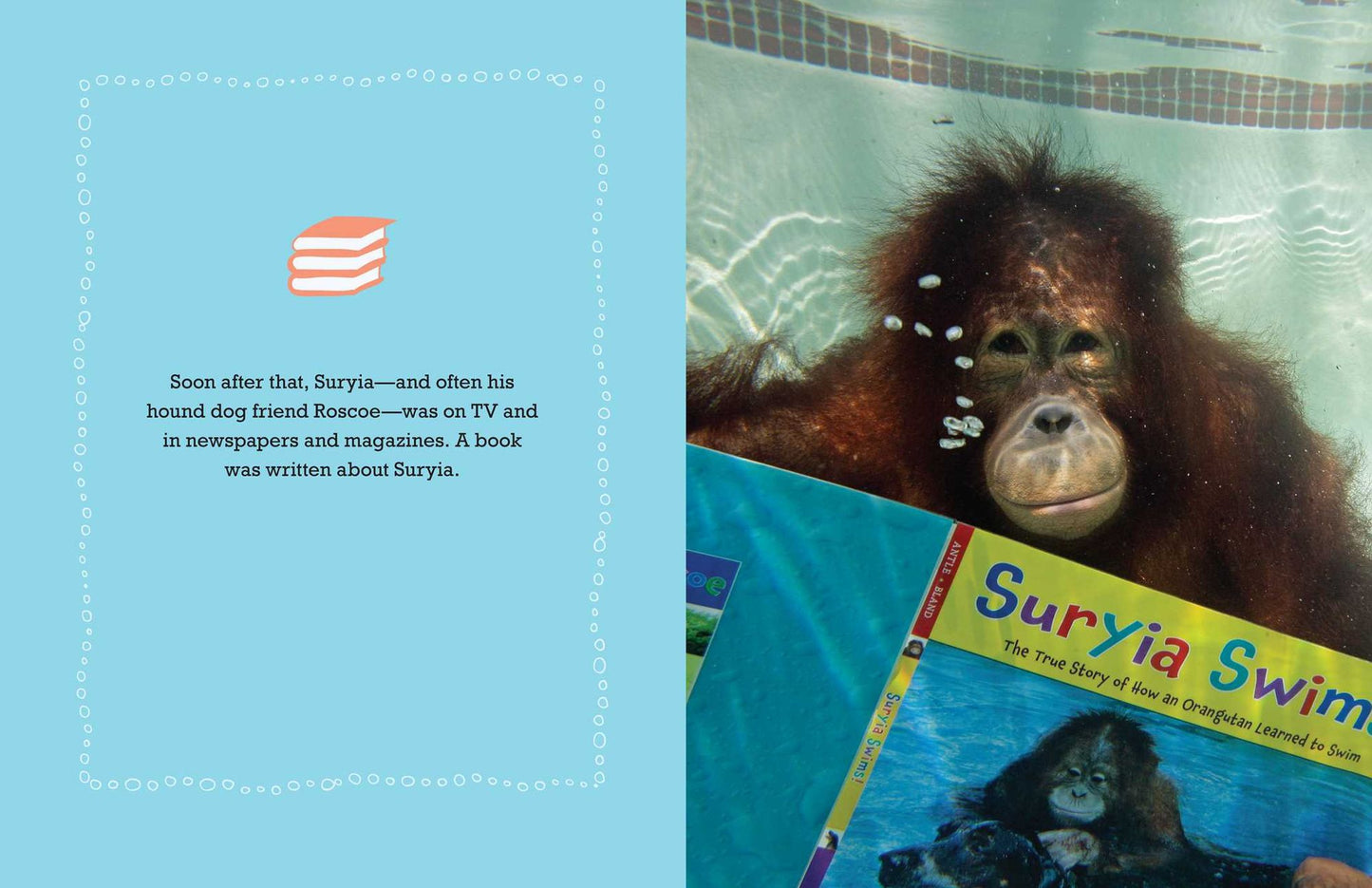 Suryia: An Orangutan's Story