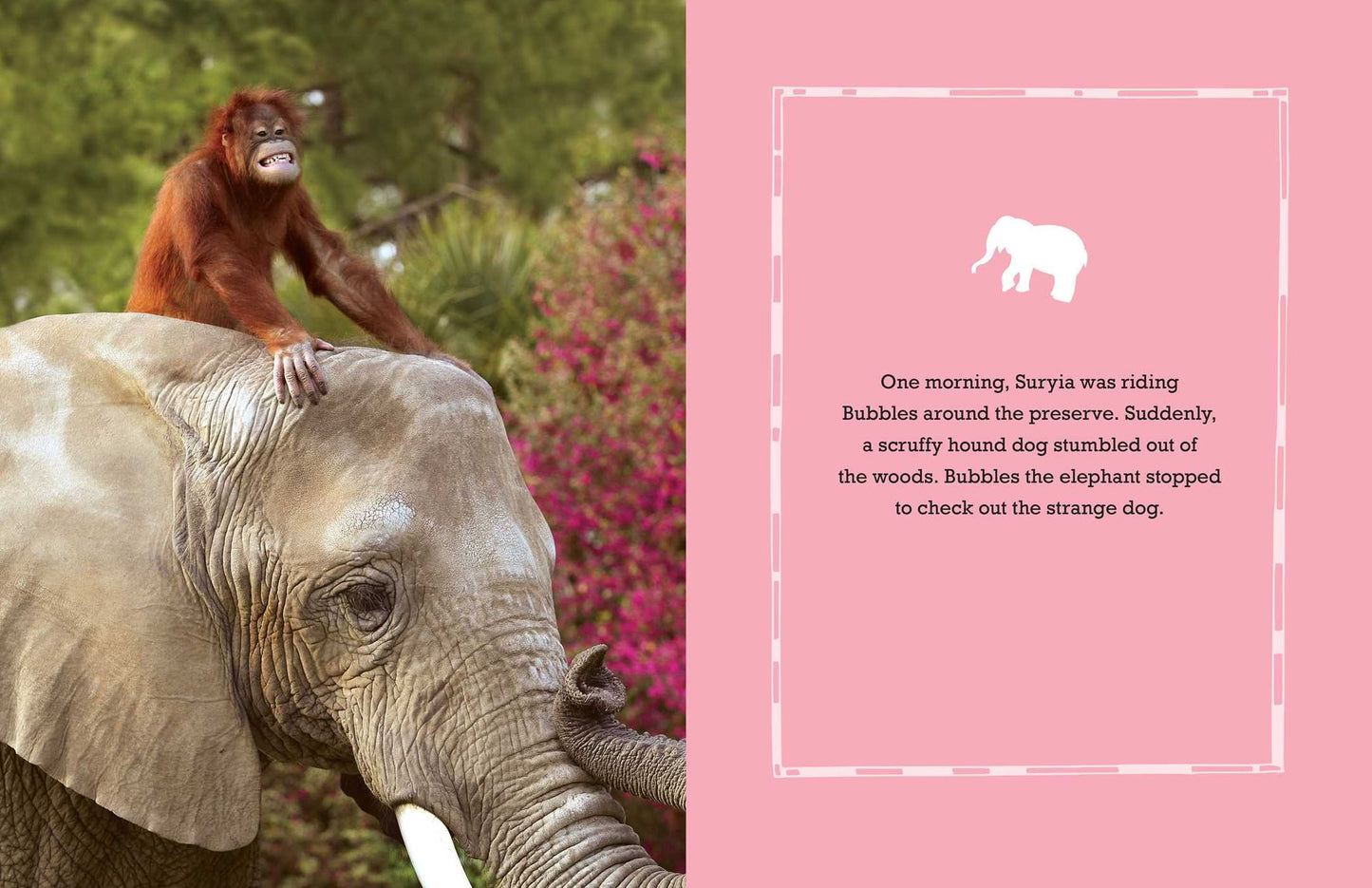 Suryia: An Orangutan's Story