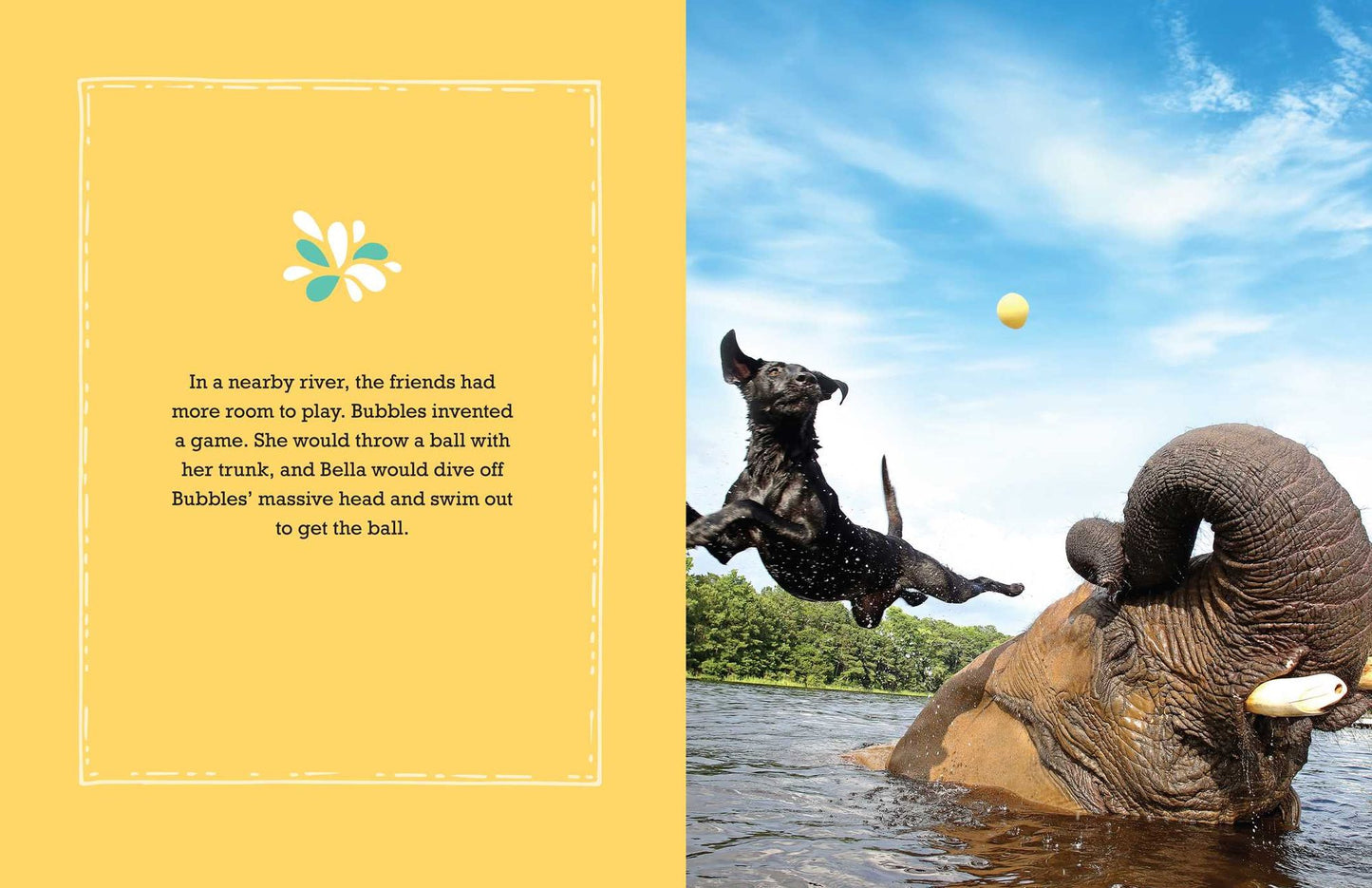 Bubbles: An Elephant's Story