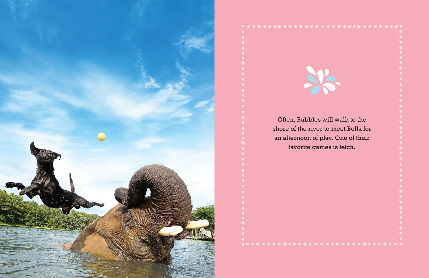 Bubbles: An Elephant's Story