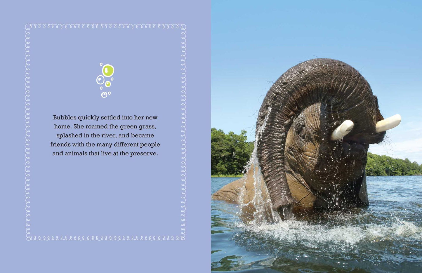 Bubbles: An Elephant's Story