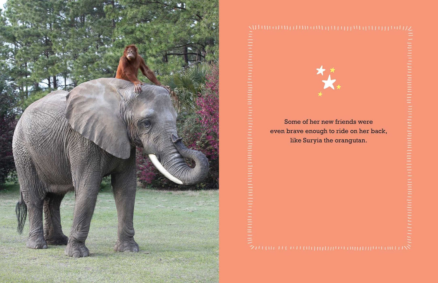 Bubbles: An Elephant's Story