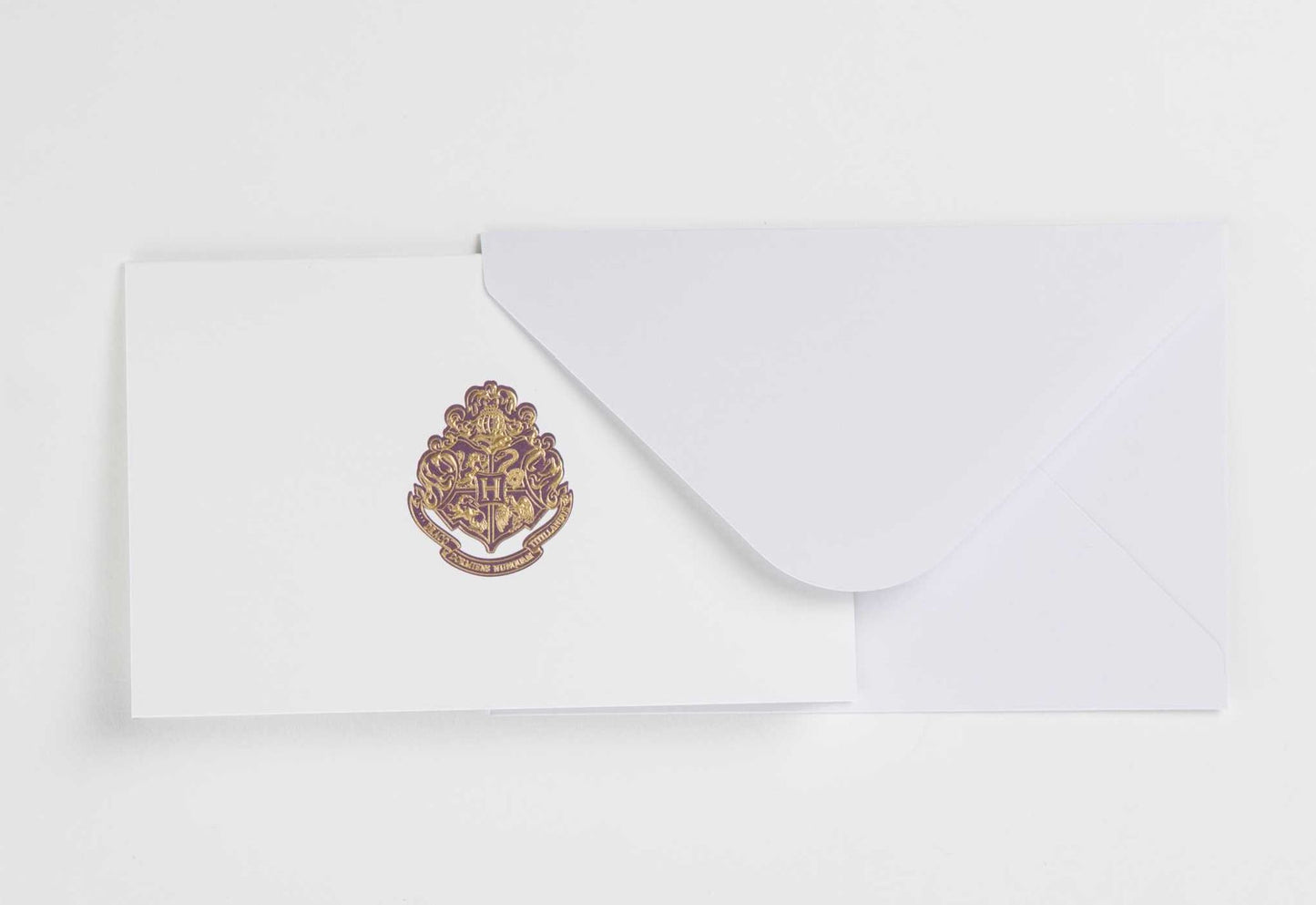 Harry Potter: Hogwarts Foil Note Cards (Set of 10)