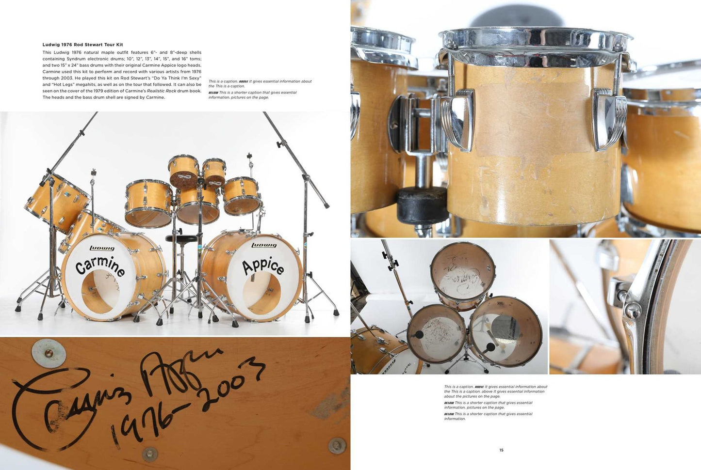 Crash: The World's Greatest Drum Kits from Appice to Peart to Van Halen