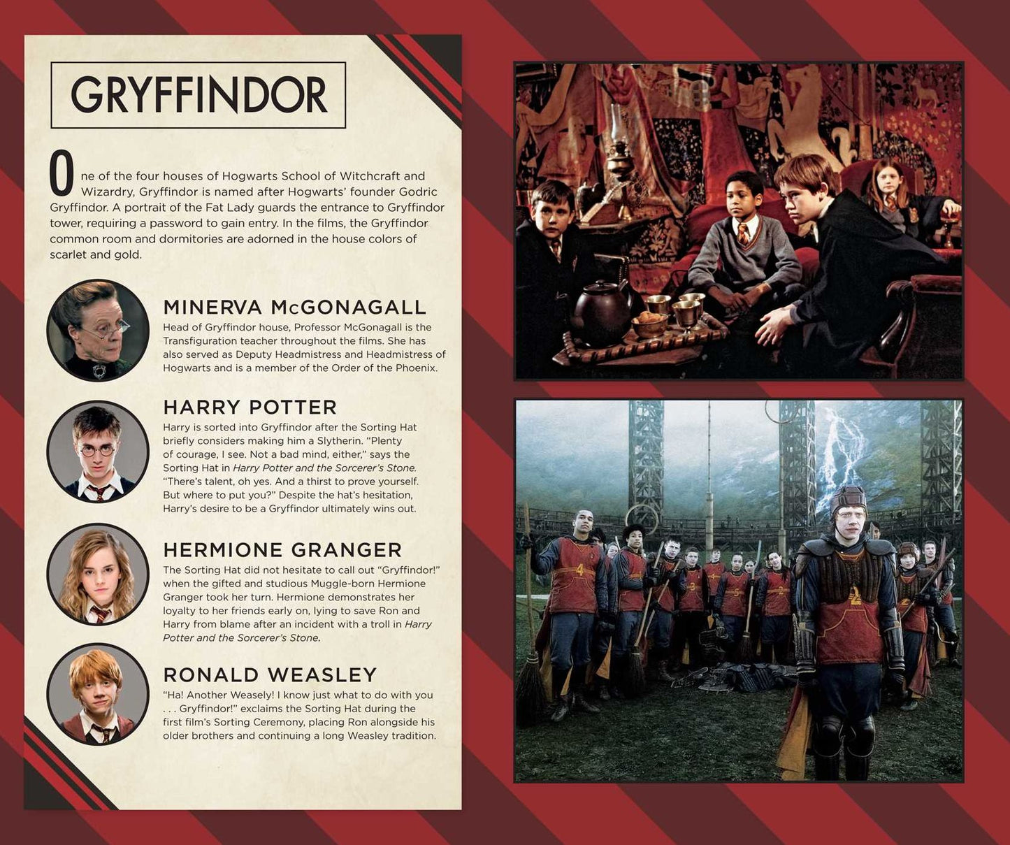 Harry Potter Gryffindor Bound Ruled Journal
