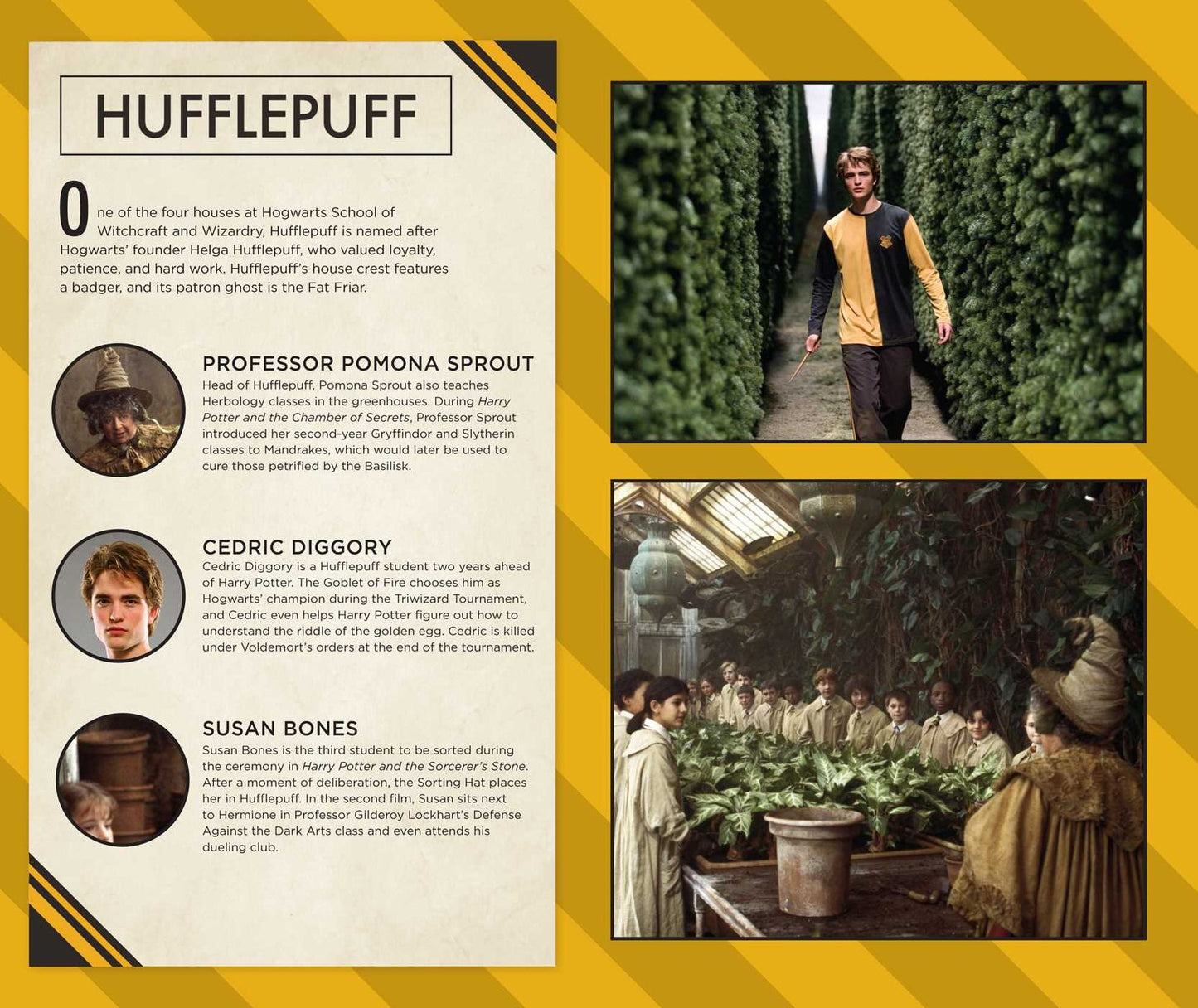 Harry Potter Hufflepuff Bound Ruled Journal