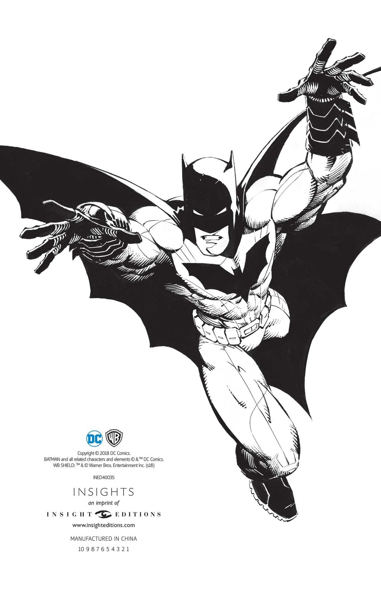 DC Comics: Batman Hardcover Ruled Journal: Artist Edition