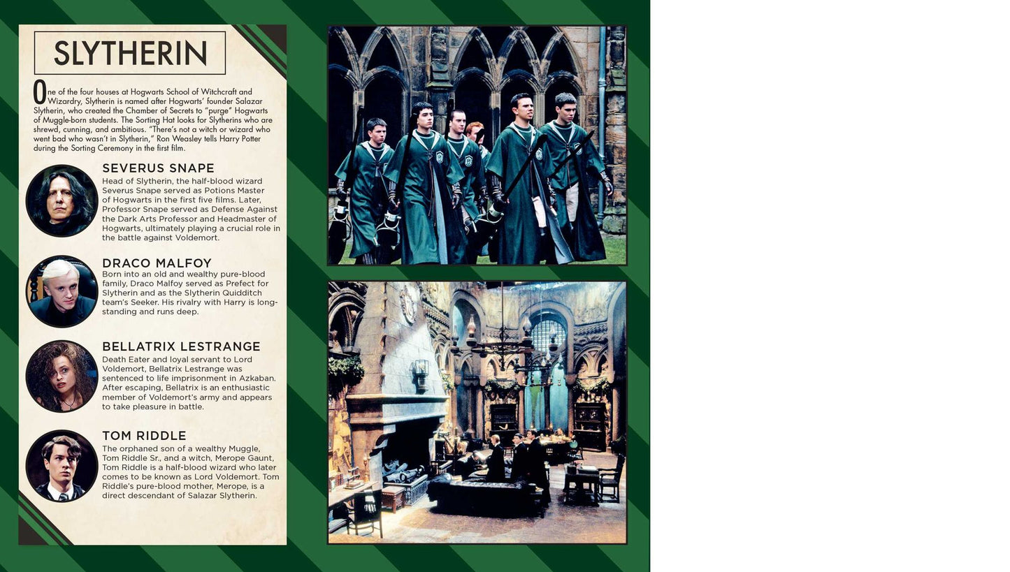 Harry Potter: Slytherin Ruled Pocket Journal