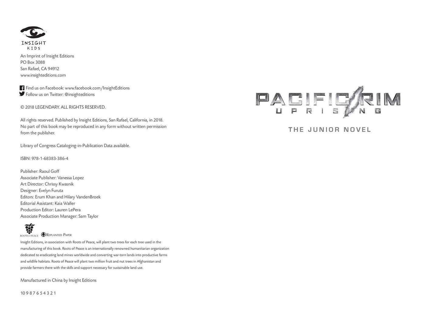 Pacific Rim Uprising: The Junior Novel