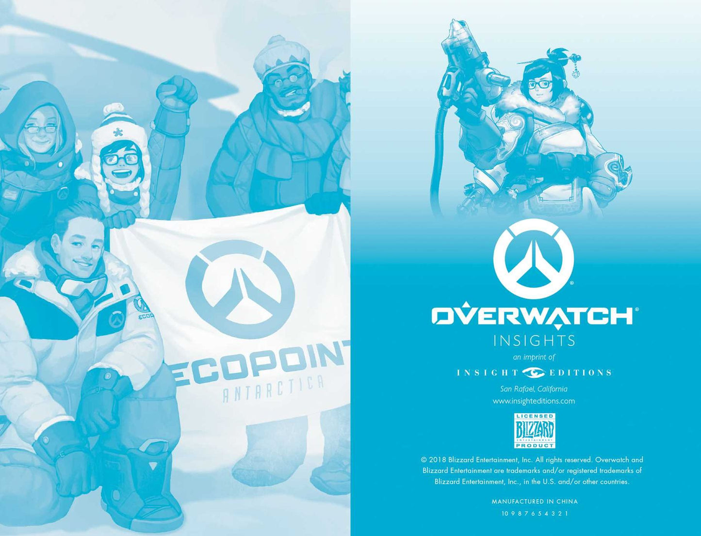 Overwatch: Pocket Notebook Collection (Set of 3)