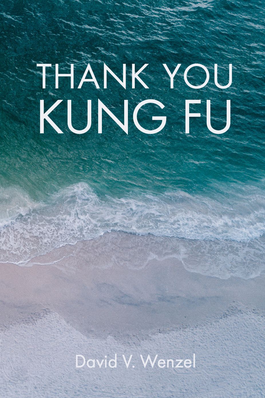 Thank You Kung Fu
