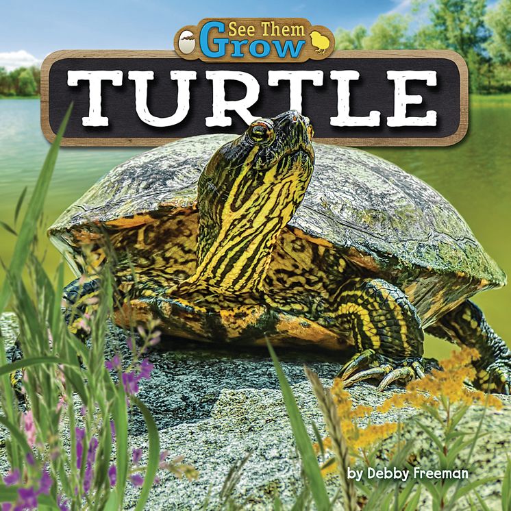Turtle